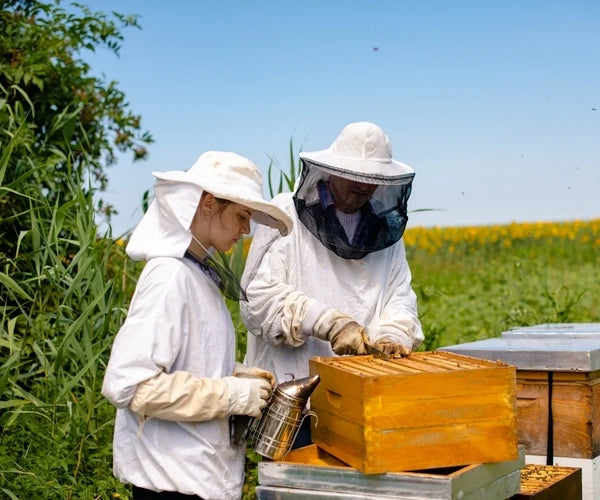 From Appalachian Hives to Your Table